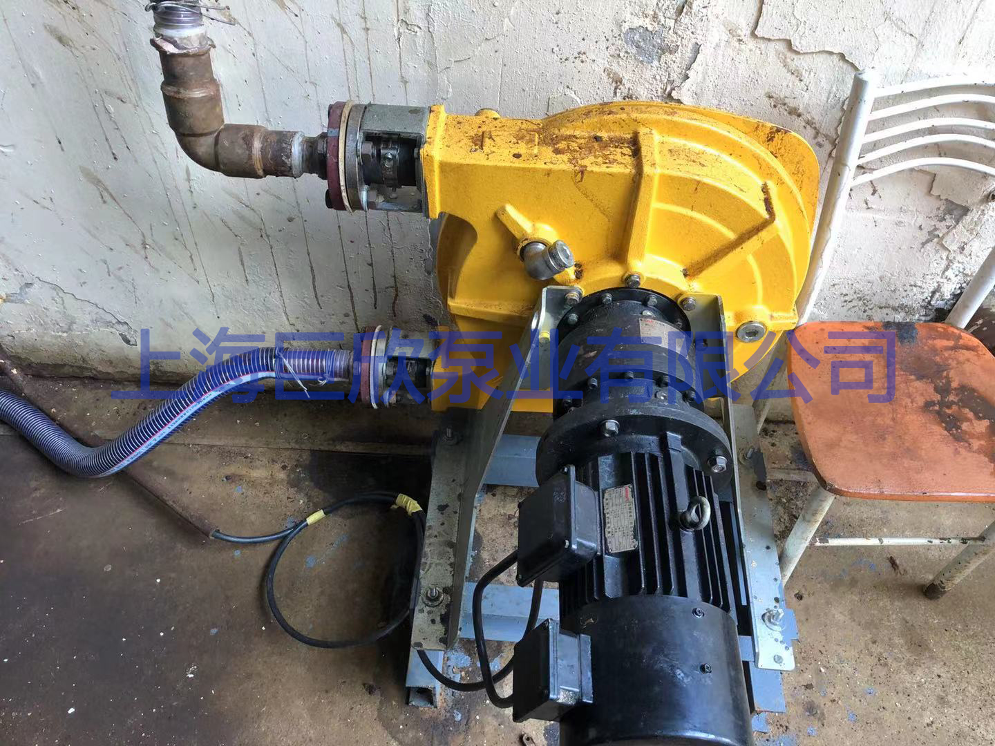 1583384686211350.jpg 1.jpg