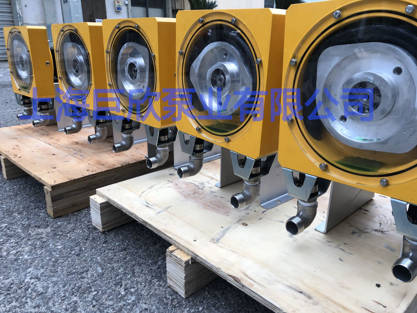 1585011006751391.jpg 巨欣20軟管泵.jpg